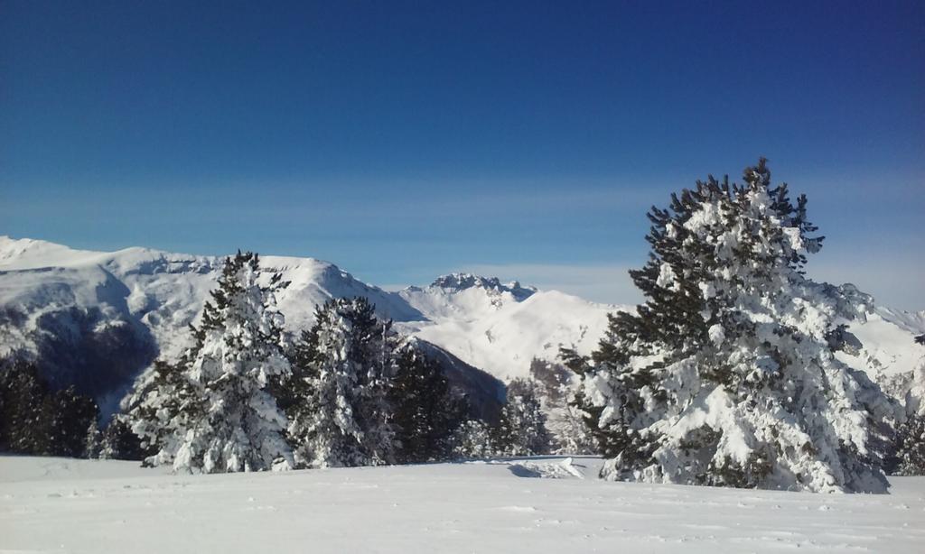 Ferienwohnungen Bachergut มาริอัปฟาร์ ภายนอก รูปภาพ