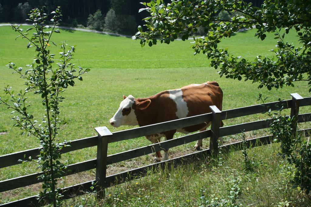Ferienwohnungen Bachergut มาริอัปฟาร์ ห้อง รูปภาพ